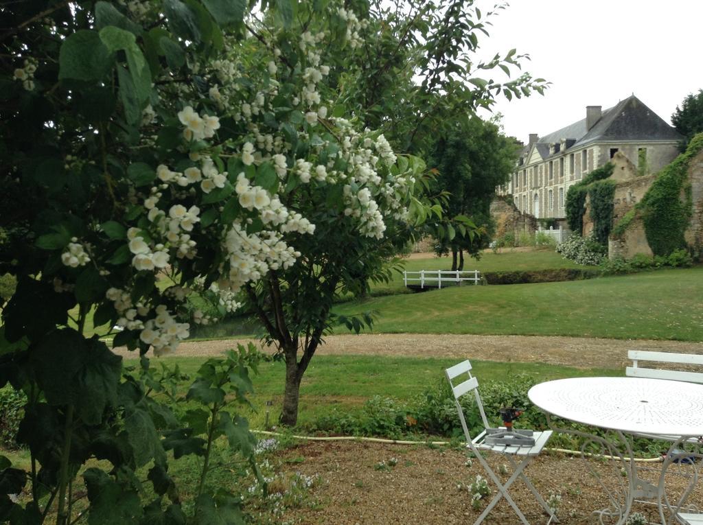 La Maison D'Ambre Villa Saint-Laurent-en-Gatines Bagian luar foto